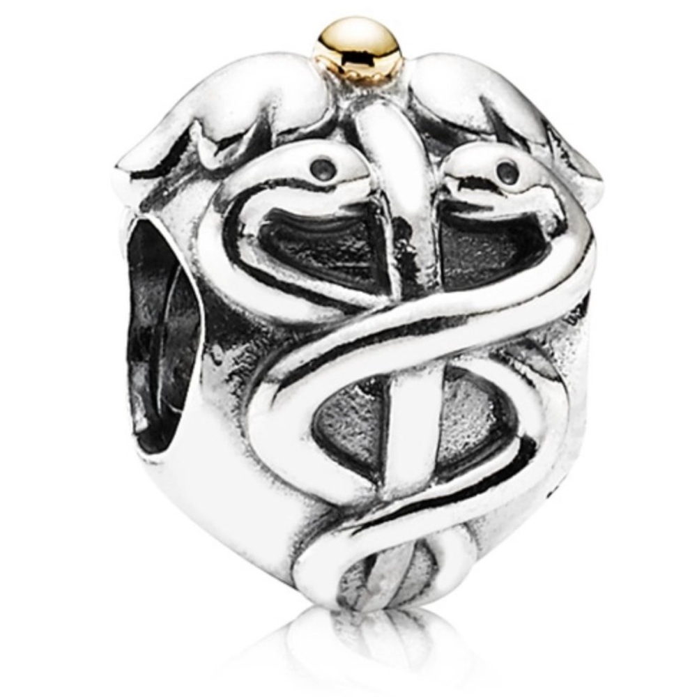 Pandora Life Saver Medical Nurse Doctor Charm